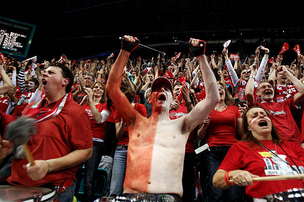 的判罚风波 的判罚风波